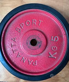 Coppia dischi Panatta Sport