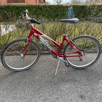 Bicicletta Nuzzi Rambler MX