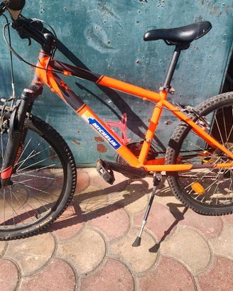 Bicicletta ragazzo