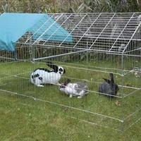 gabbie per galline conigli 