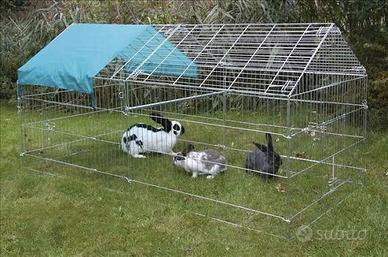 gabbie per galline conigli 