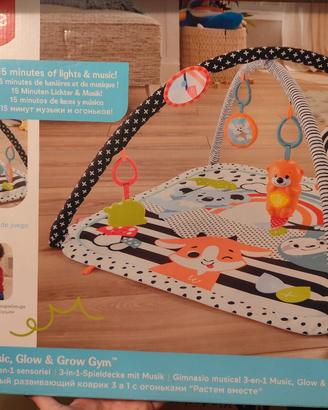 Sdraietta Fisher Price 