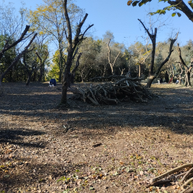 Terreno agricolo