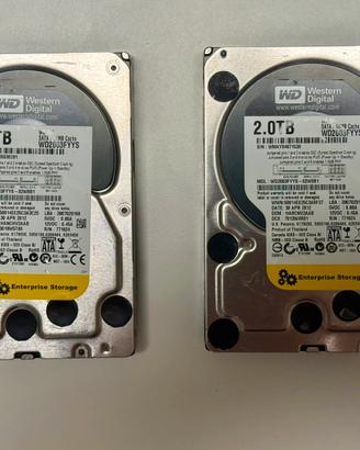 Coppia Western Digital RE4 WD2003FYYS da 2TB