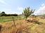 Immagine 8