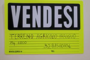 Terreno Agricolo Irriguo