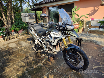 Triumph Tiger 1200 rally pro