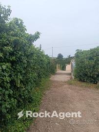 VILLETTA IMMERSA NEL VERDE CON PISCINA