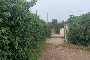 VILLETTA IMMERSA NEL VERDE CON PISCINA