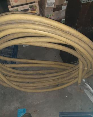 Gomma tricoflex