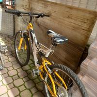 bici bioammortizzata 