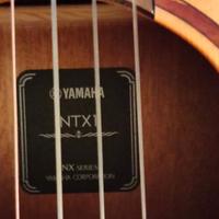 chitarra yamaha elettrificata