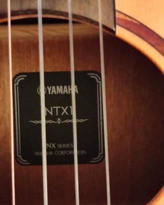 chitarra yamaha elettrificata