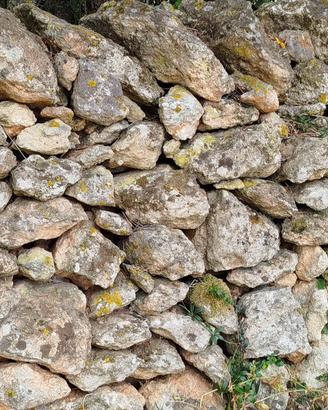 pietre per muro 