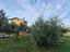 Immagine 25