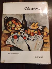 libro d'arte: Cézanne
