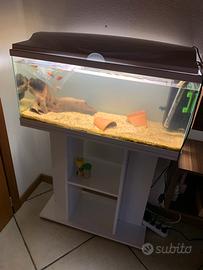 Acquario con mobile e impianto compelto