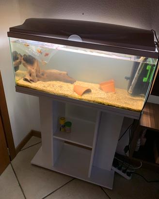 Acquario con mobile e impianto compelto