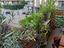 Immagine 25