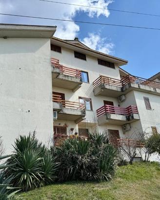 3 LOCALI A PICINISCO