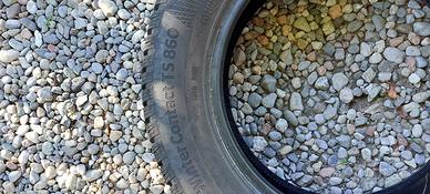 Gomme neve  Continental