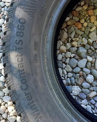 Gomme neve  Continental