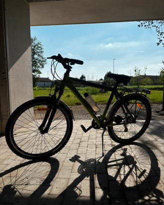 Mountain bike