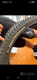 2 gomme 29