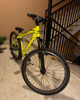 Bicicletta