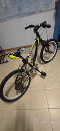 mtb Casadei 