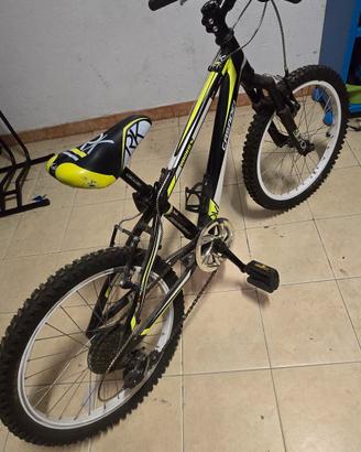 mtb Casadei 