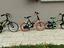 Immagine 4