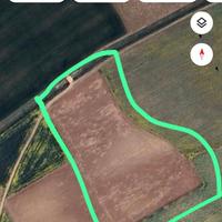 Terreno agricolo in località Bruncu Gattus