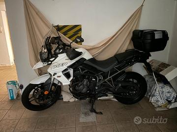 Triumph Tiger 800 - 2019