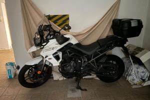 Triumph Tiger 800 - 2019