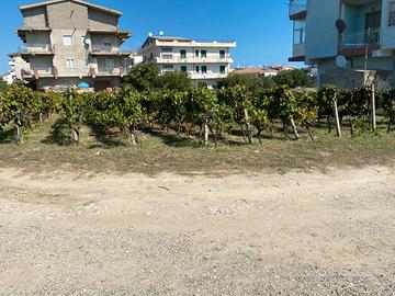 Strongoli marina terreni edificabili