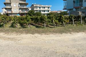 Strongoli marina terreni edificabili