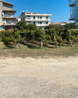 Strongoli marina terreni edificabili