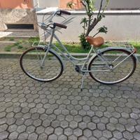 Bicicletta Olanda della marco Alpina - grigio seta