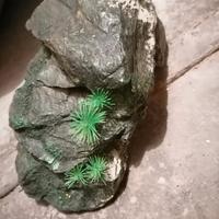 accessorio per acquario 