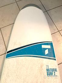 Tavola Surf Bic 7.9