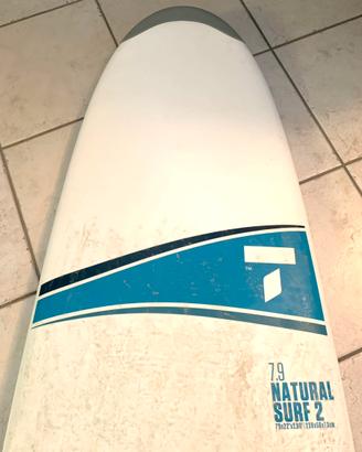 Tavola Surf Bic 7.9