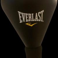 Everlast reflex