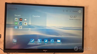 Wacebo DabliuTouch 65” 4K touchscreen – Android 11