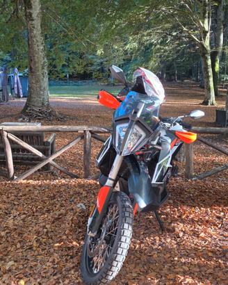 KTM 790 Adventure R '19