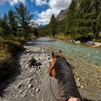 Pensione cavalli estivo