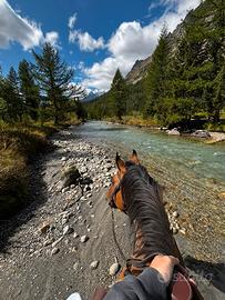 Pensione cavalli estivo