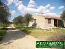 riola-sardo-tenuta-agricola-olivi-recinzione-total