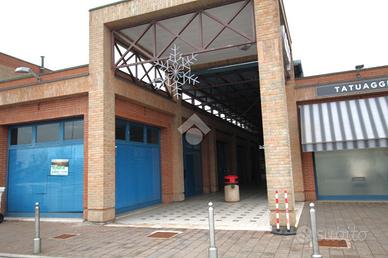 MULTILOCALE A PEGOGNAGA