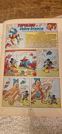 topolino